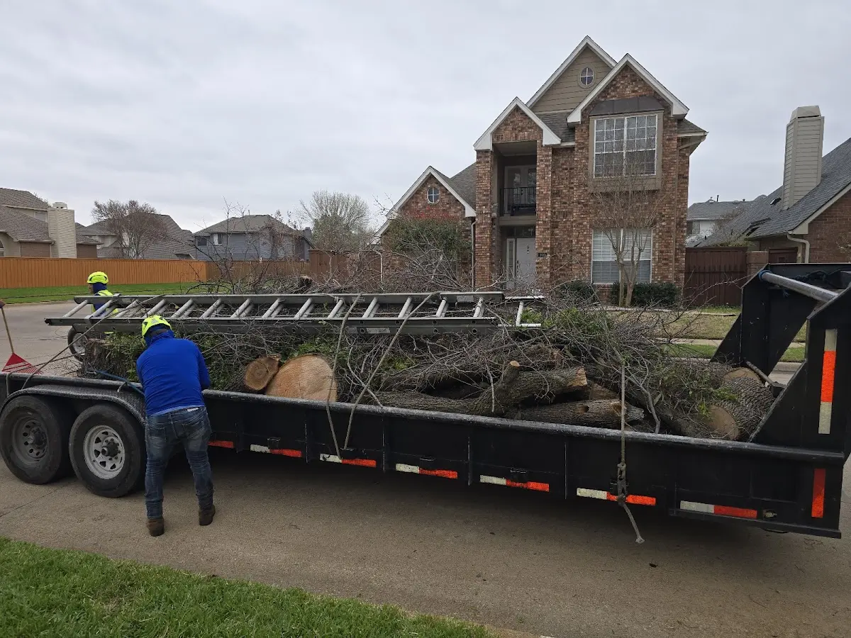Expert Crown Reduction with proper safety equipment in Vernon Hills